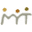 myt.org.mx