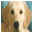 mytammy.co.uk