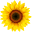 myvideopsalm.weebly.com
