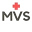 myvirtualscribe.us