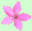 mywildflowers.com