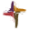 nacc.org
