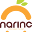 narinc.az
