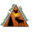 nationalparkobsessed.com