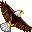 natisihichapter.org