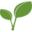 naturalgardeneraustin.com