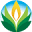 naturesgardencandles.com