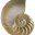 nautilusbookawards.com