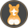 nayothecorgi.com
