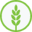neolifeshop.com