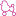 neonpoodle.co