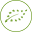 nerverenewal.com