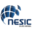 nesicsa.com
