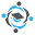 netacad.az