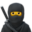 netninja.com