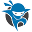 netninjas.com.au