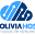 netstreambolivia.com