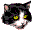 netz-katzen.de