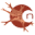 neuron-eranet.eu