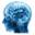 neuropsychiatrichospitals.net
