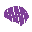 neuroscience.org.au