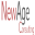 newage-consulting.com