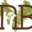 newbeginningsadoptions.org