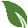 newleafhomes.net