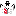 newsmagazin.ch