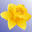 newswales.co.uk