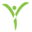 newyoumd.com