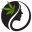 nfskin.com