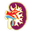 nhacny.com