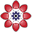 nic.py