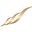 nicolettinotes.com