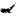 night-eagle.com