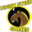 nightsteed.com