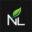 nirvanalighting.in