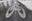 njs-export.com