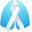 nlcrt.org