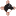 nmdog.org