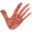 no2ragging.org