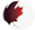 noaisys.com