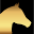 noblehorsechampion.com