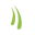 nomasvello.ba