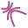 nool.com.br
