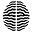 nootropics.com
