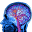 nootropikler.com