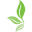 nsi.edu.np