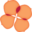 ntcc.nt.edu.au